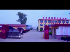 introduzione della società